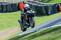 Oulton-Park-20th-March-2020;PJ-Motorsport-Photography-2020;anglesey;brands-hatch;cadwell-park;croft;donington-park;enduro-digital-images;event-digital-images;eventdigitalimages;mallory;no-limits;oulton-park;peter-wileman-photography;racing-digital-images;silverstone;snetterton;trackday-digital-images;trackday-photos;vmcc-banbury-run;welsh-2-day-enduro